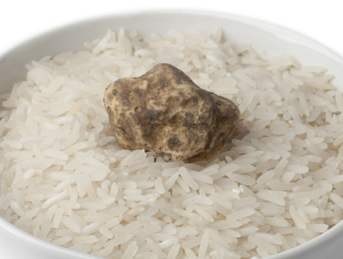 Cup of raw rice with white truffle